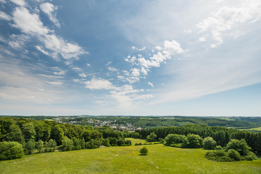 Wildpark Hotel Bad Marienberg Zewnętrze zdjęcie