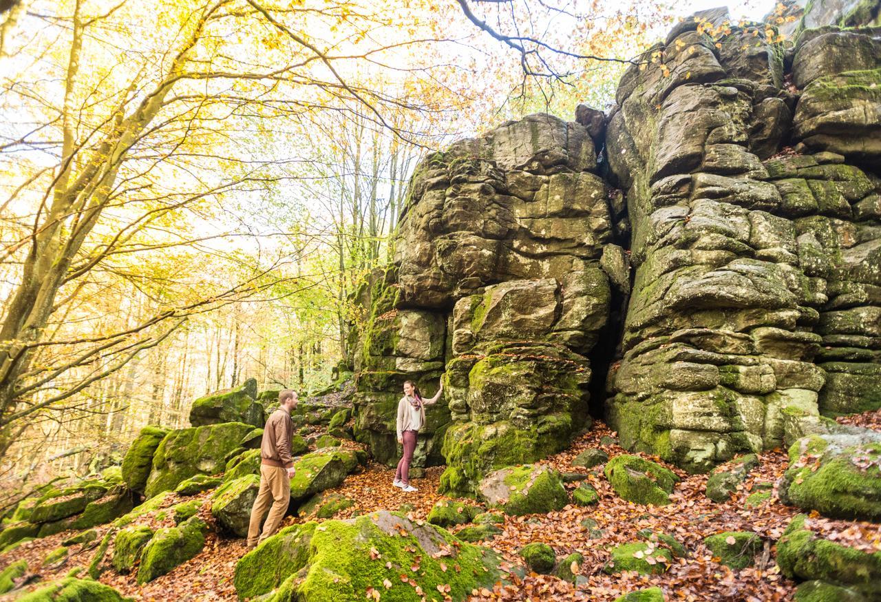 Wildpark Hotel Bad Marienberg Zewnętrze zdjęcie